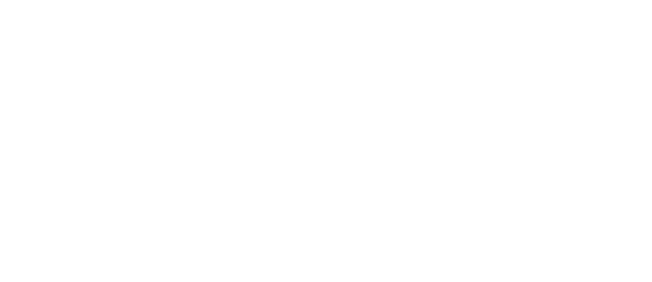 Medidedalia